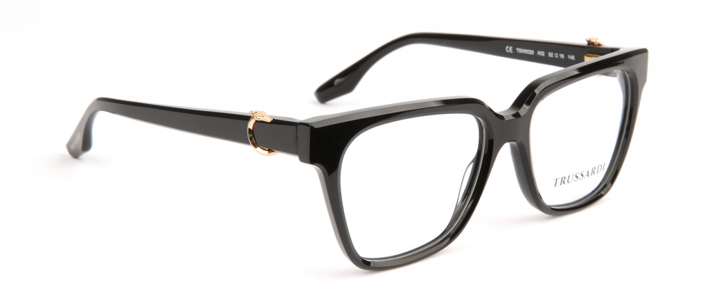 Оправа Trussardi TSW6029 A02 51