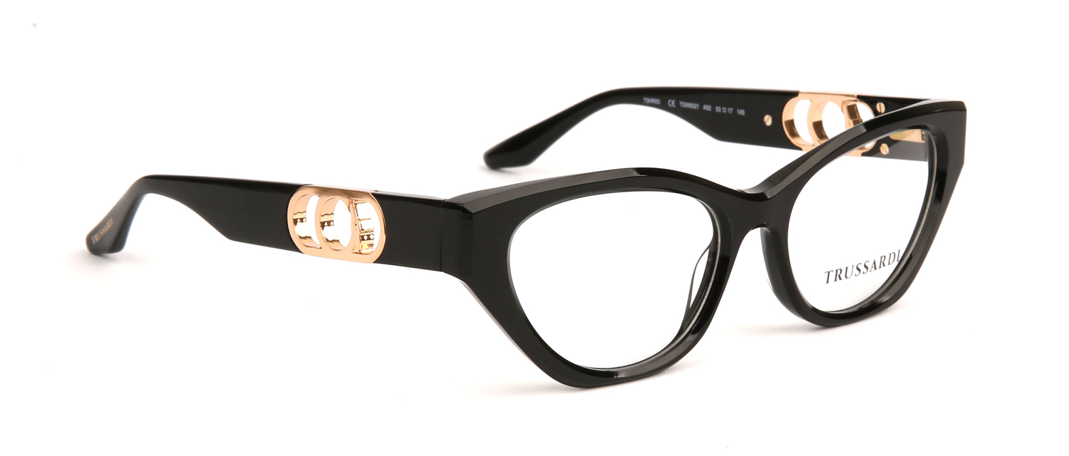 Оправа Trussardi TSW6021 A02 53