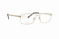 Оправа Stepper SI-60195 F010